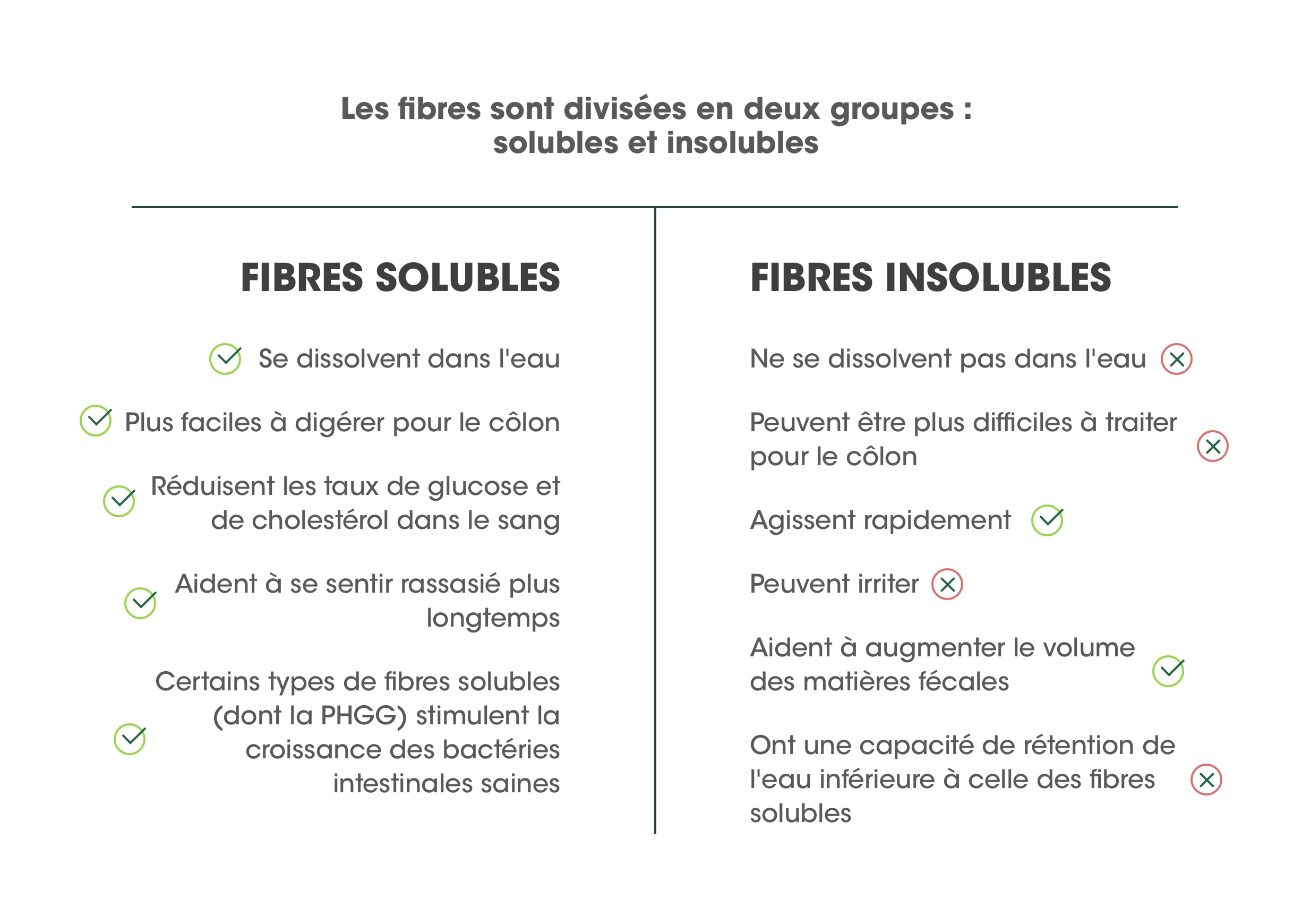 Les fibres sont divisées en deux groupes: les fibres solubles et les fibres insolubles - Optifibre Suisse - Schweiz